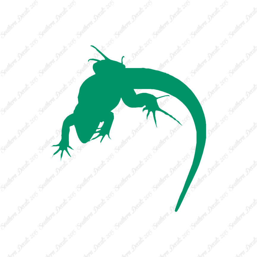 Lizard Anole Gecko