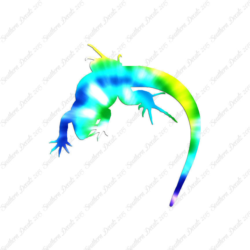 Lizard Anole Gecko