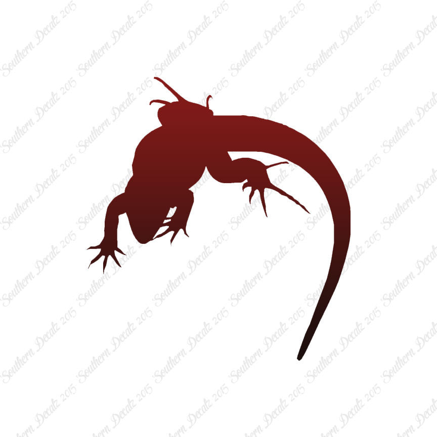 Lizard Anole Gecko