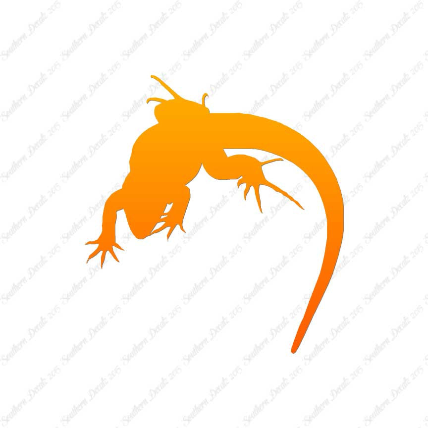 Lizard Anole Gecko