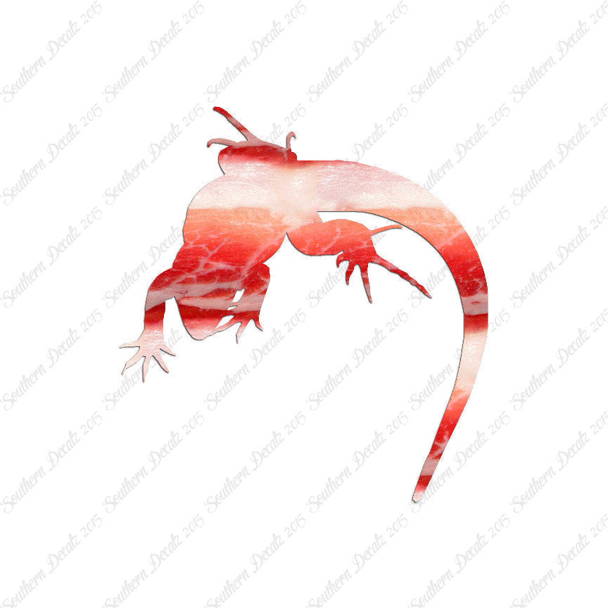 Lizard Anole Gecko