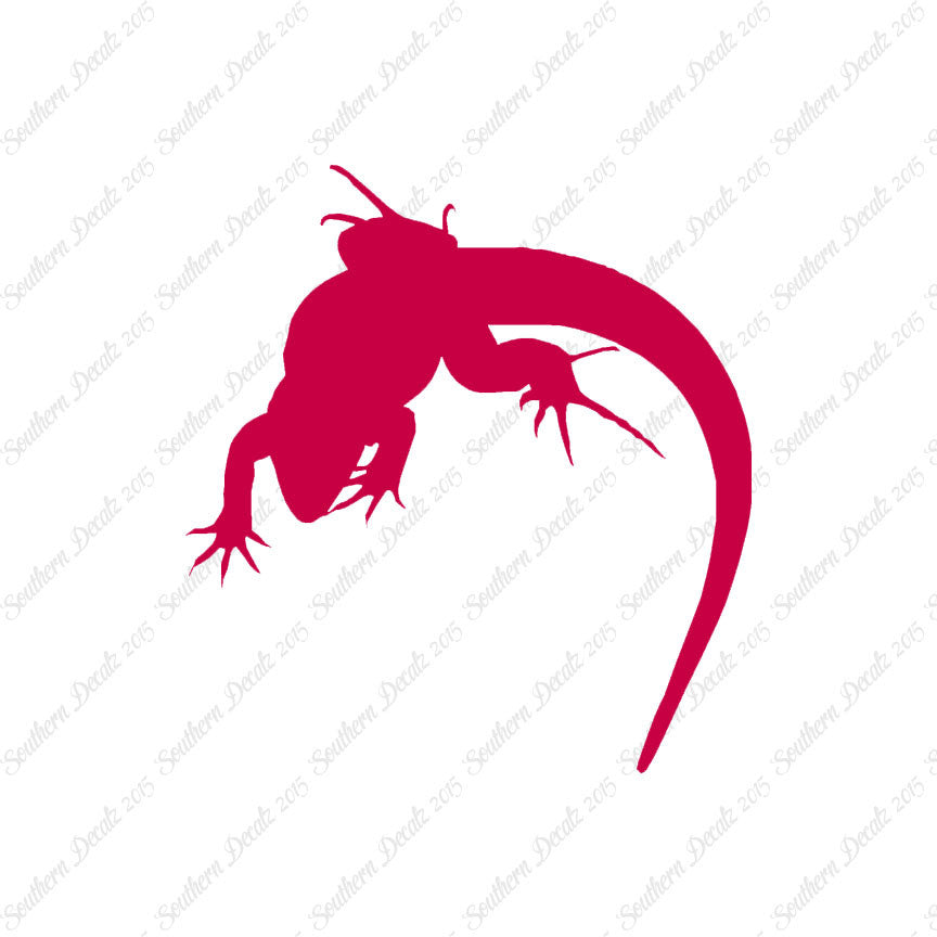 Lizard Anole Gecko