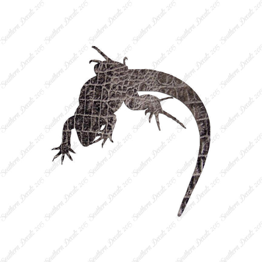 Lizard Anole Gecko