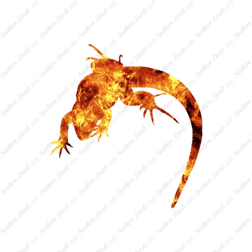 Lizard Anole Gecko