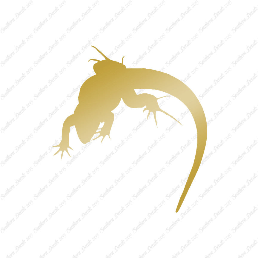 Lizard Anole Gecko