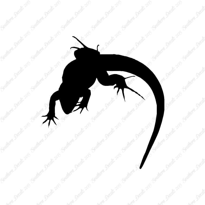 Lizard Anole Gecko