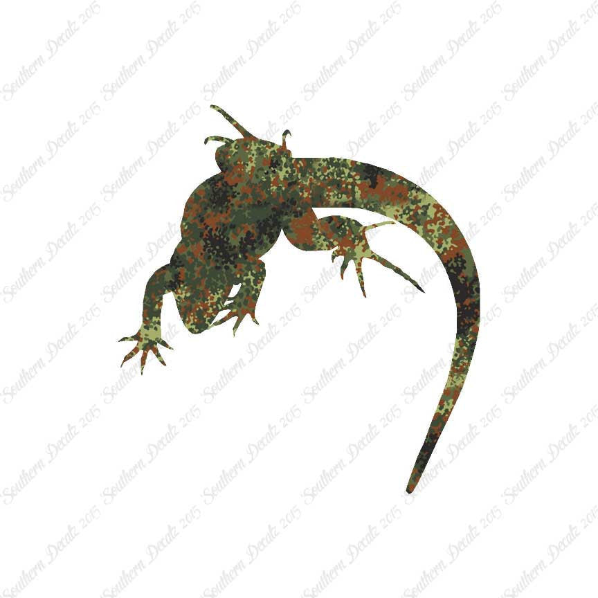 Lizard Anole Gecko