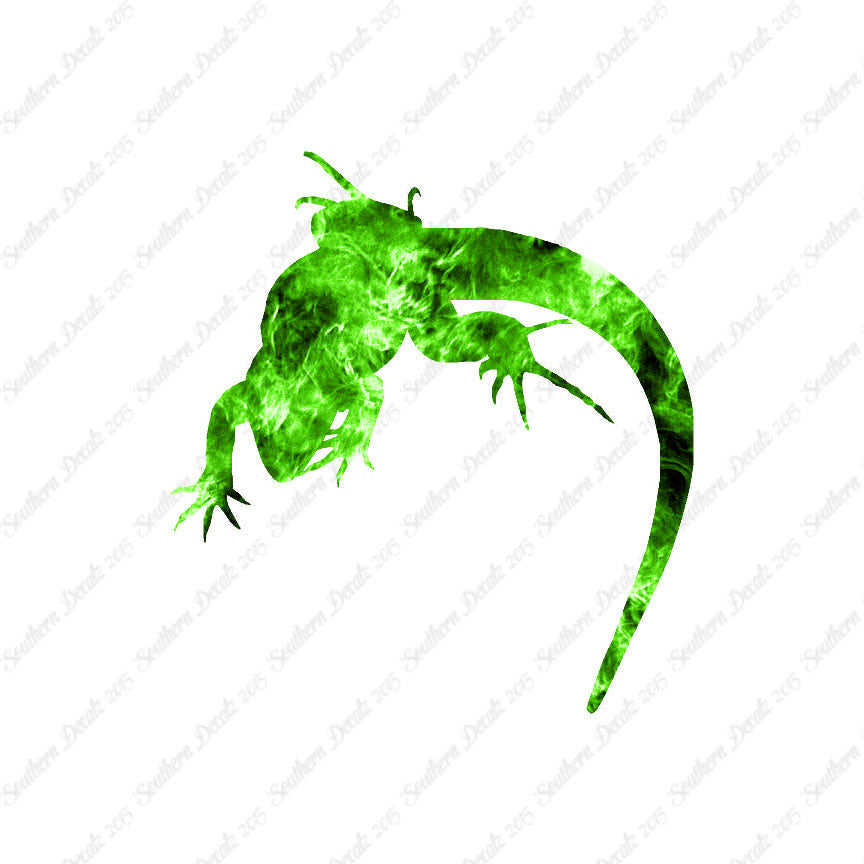 Lizard Anole Gecko