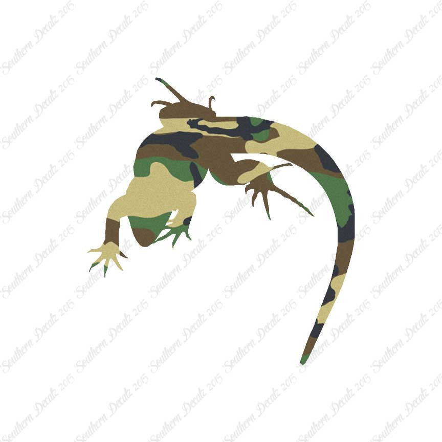 Lizard Anole Gecko