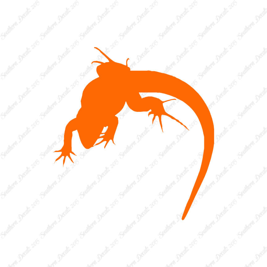 Lizard Anole Gecko
