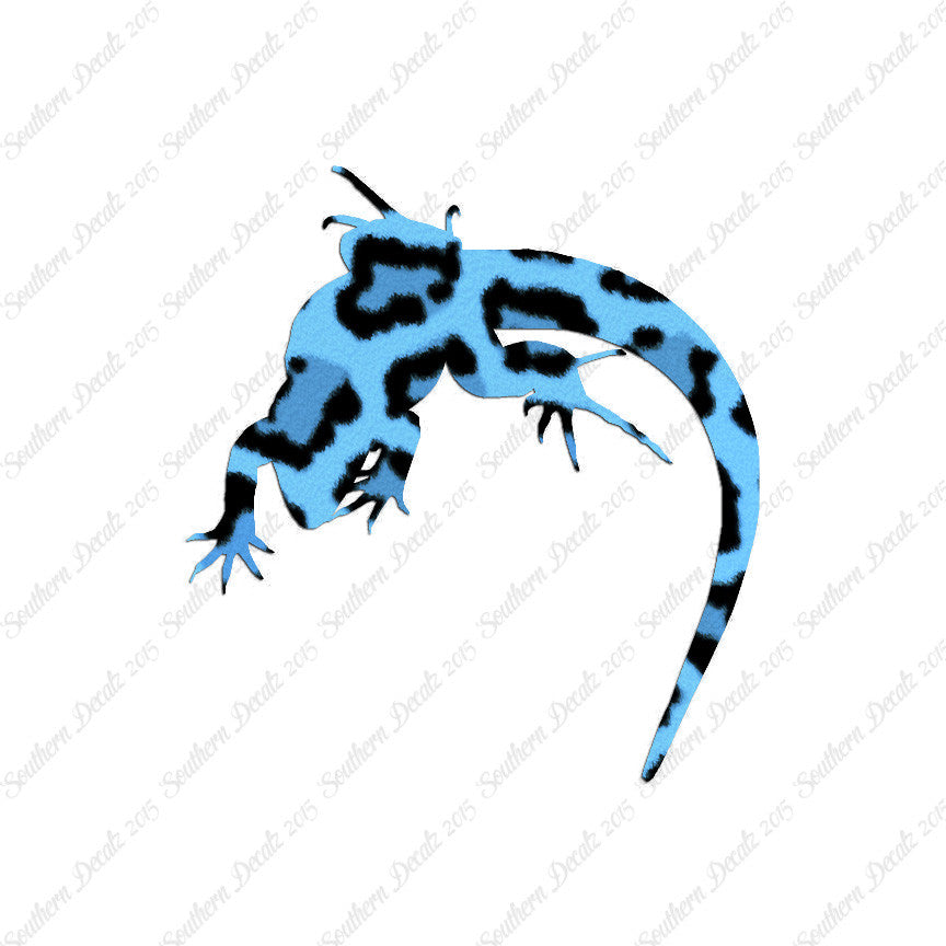 Lizard Anole Gecko