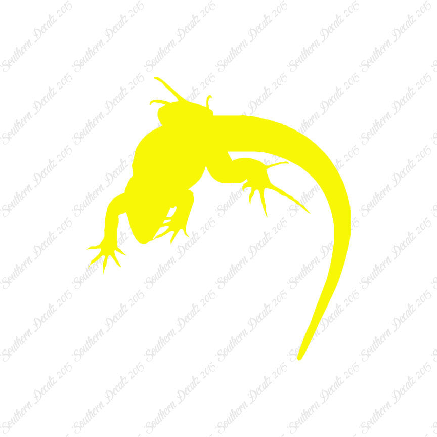 Lizard Anole Gecko