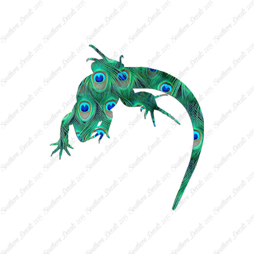 Lizard Anole Gecko