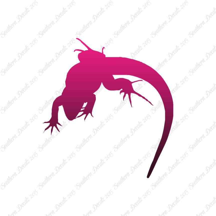 Lizard Anole Gecko