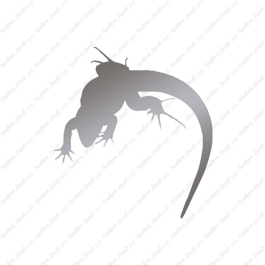 Lizard Anole Gecko