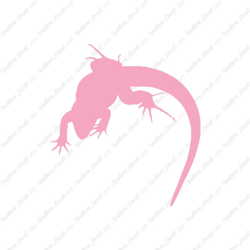 Lizard Anole Gecko