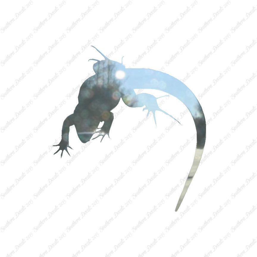 Lizard Anole Gecko