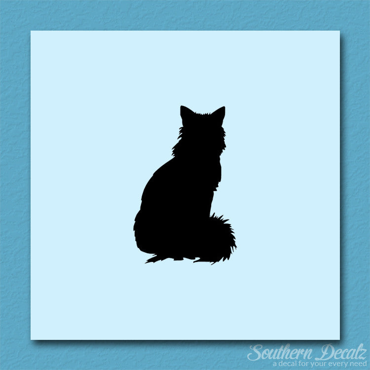Kitten Cat Fluffy