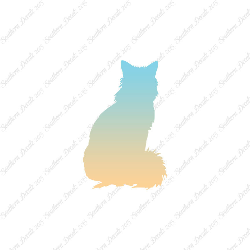 Kitten Cat Fluffy