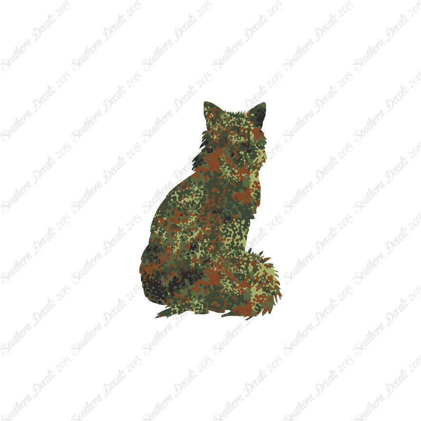 Kitten Cat Fluffy