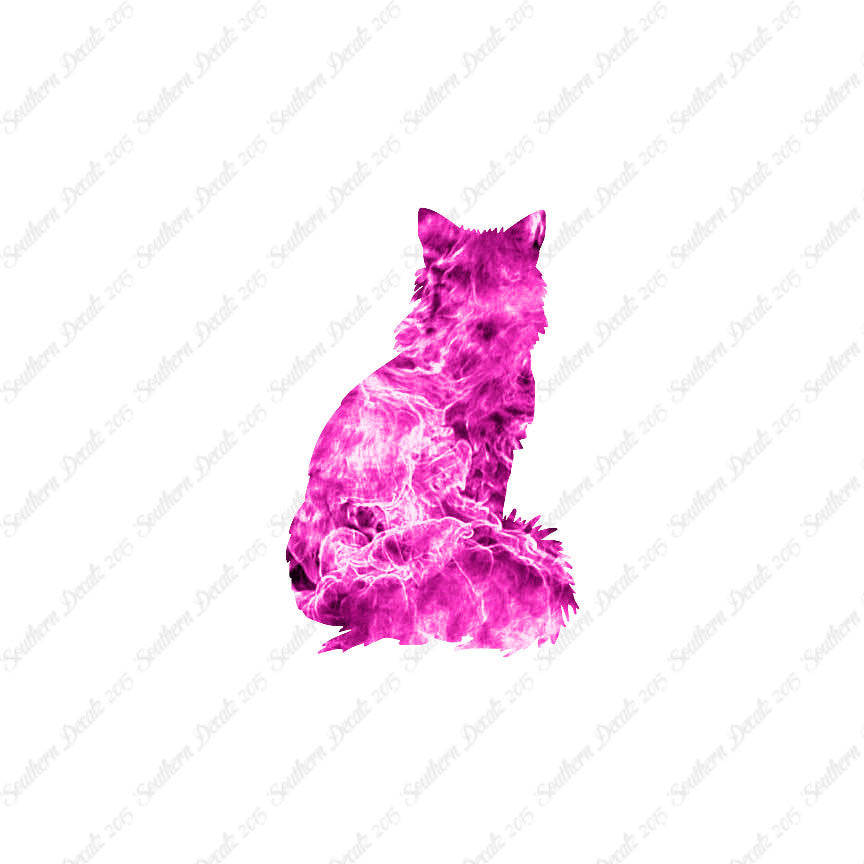 Kitten Cat Fluffy