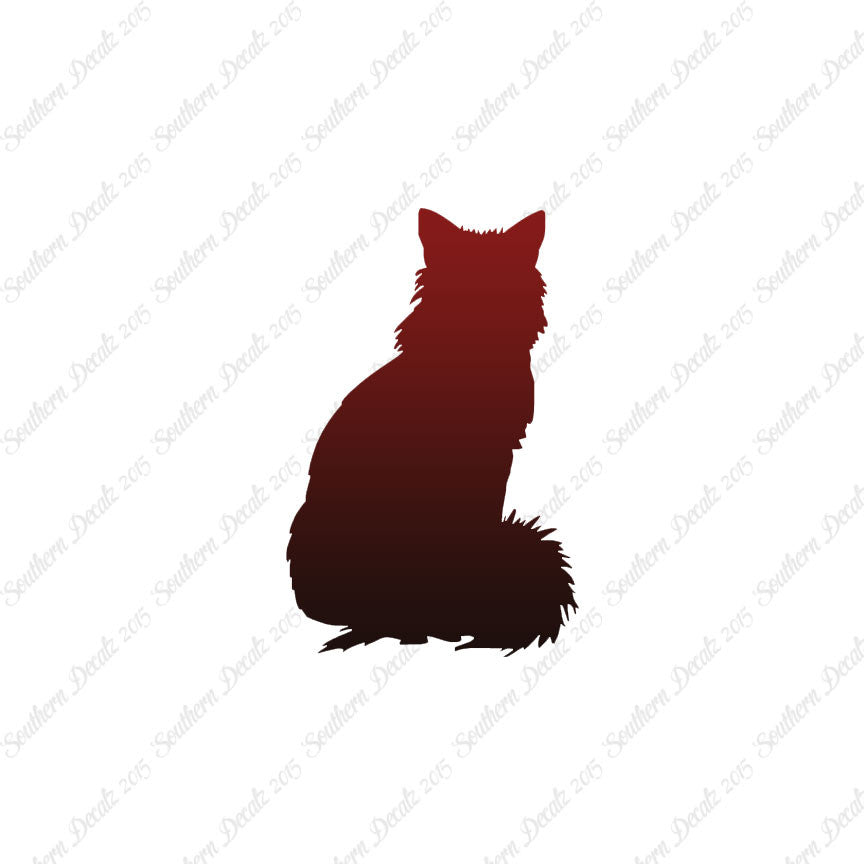 Kitten Cat Fluffy