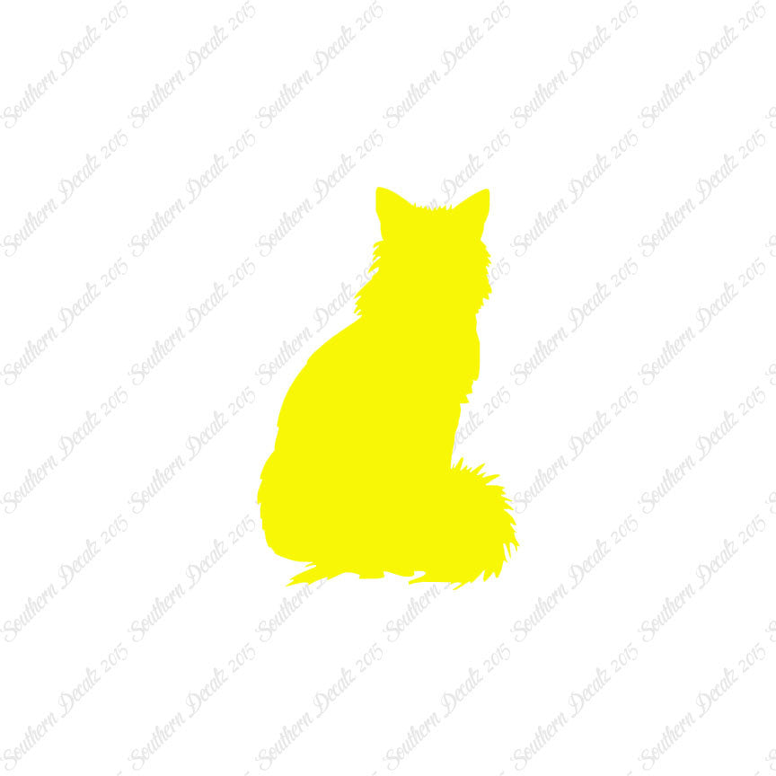 Kitten Cat Fluffy