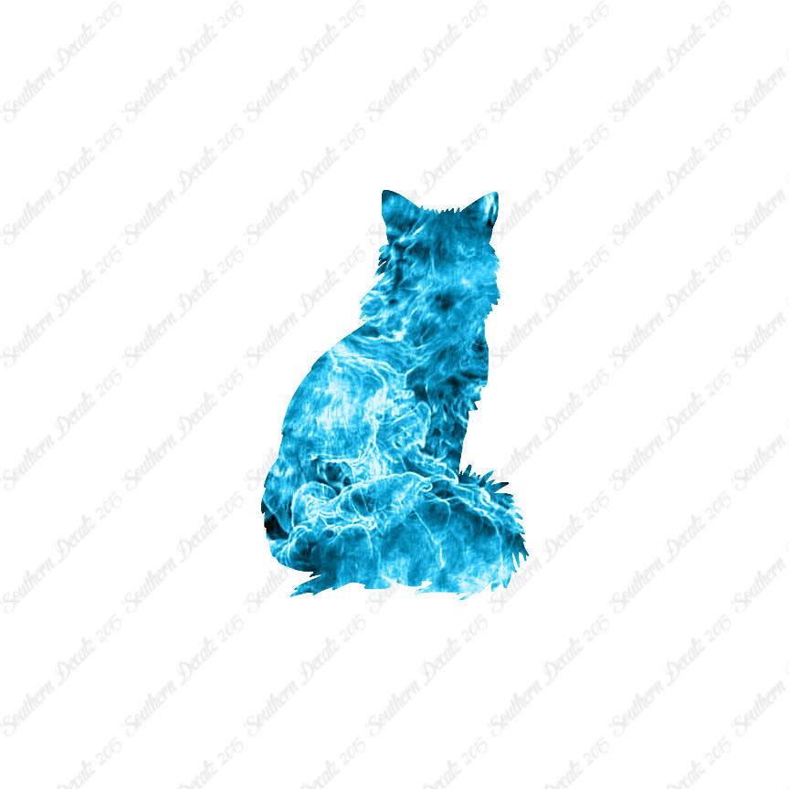 Kitten Cat Fluffy