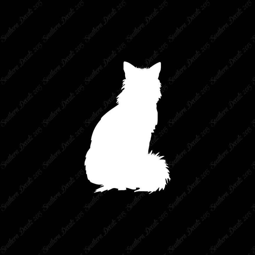 Kitten Cat Fluffy