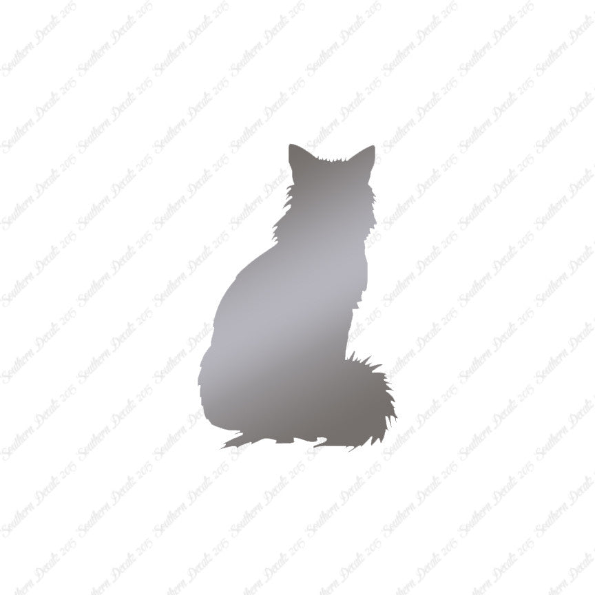Kitten Cat Fluffy