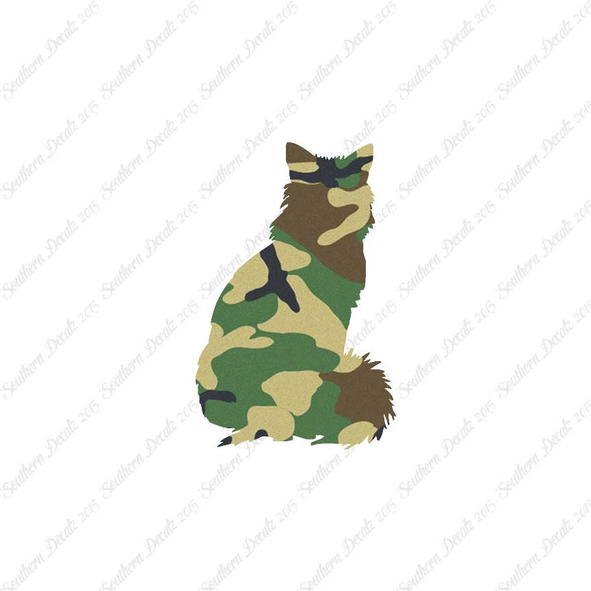 Kitten Cat Fluffy