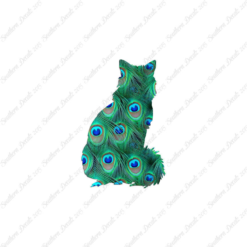 Kitten Cat Fluffy