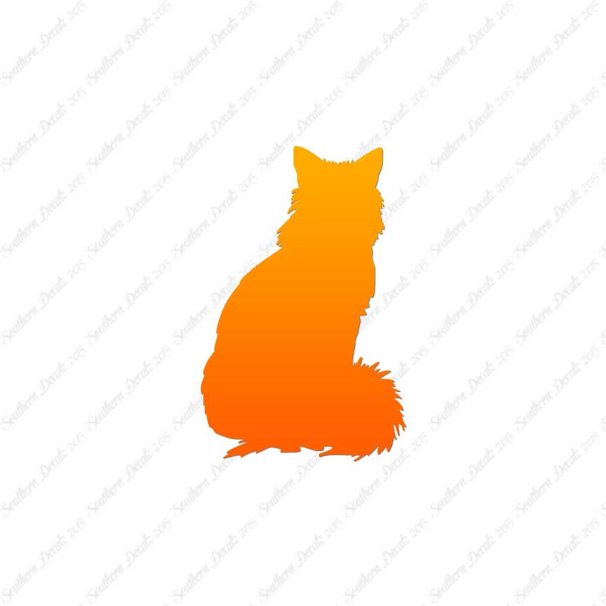 Kitten Cat Fluffy