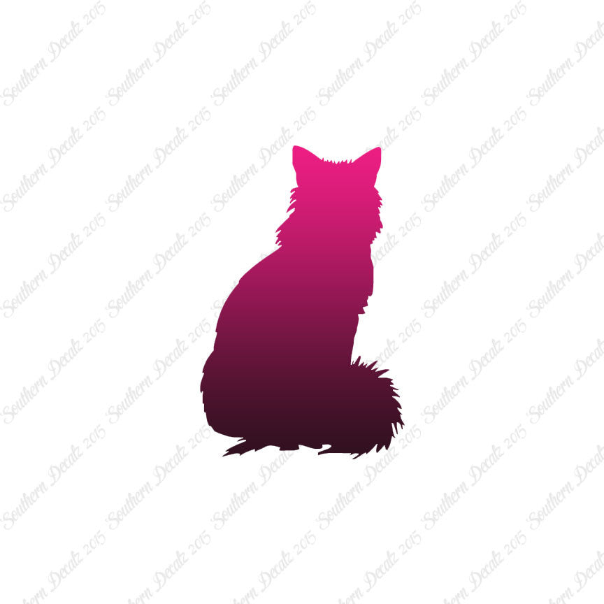 Kitten Cat Fluffy