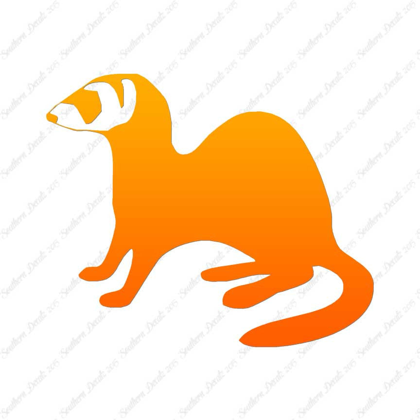 Ferret Weasel