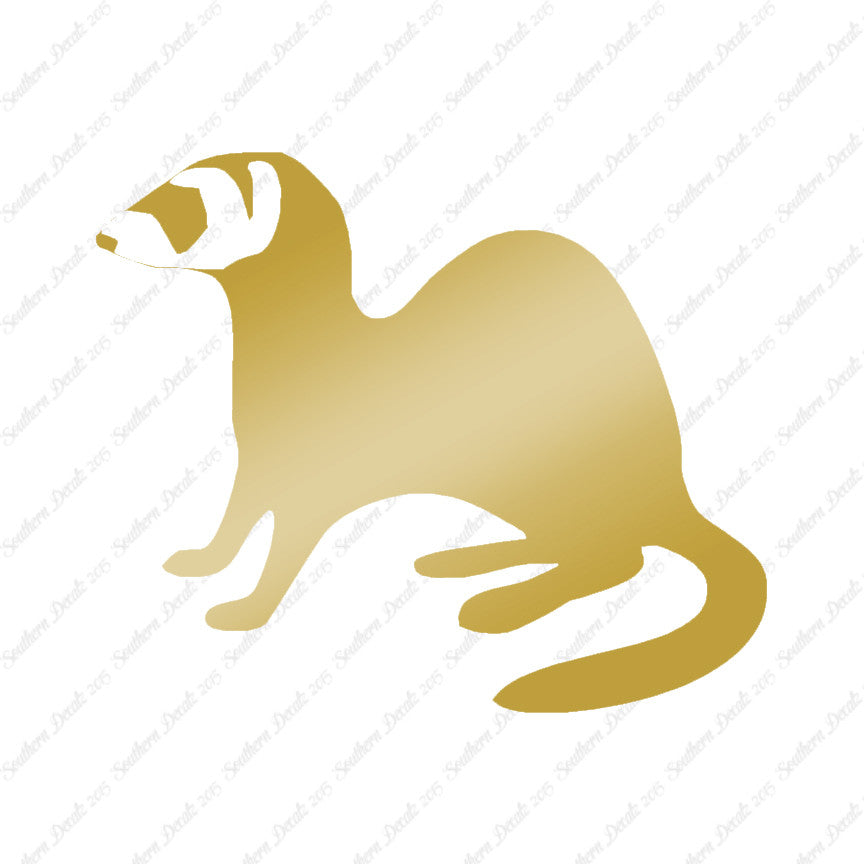 Ferret Weasel