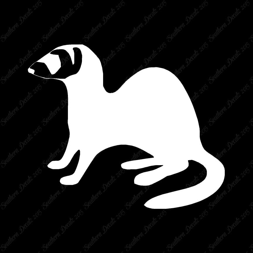 Ferret Weasel