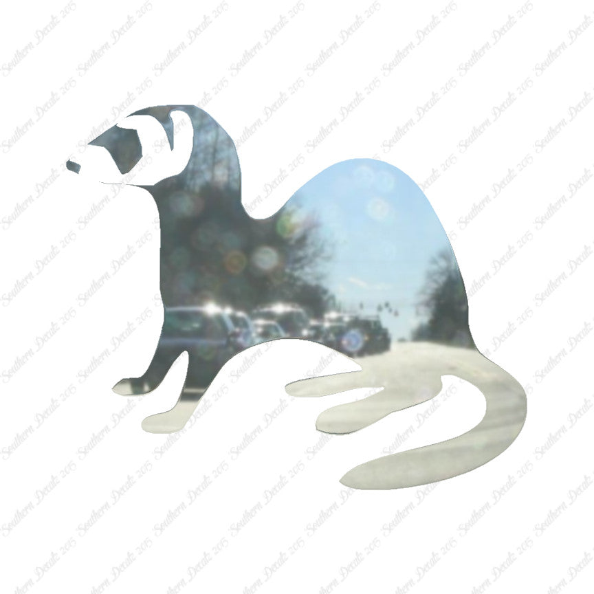 Ferret Weasel