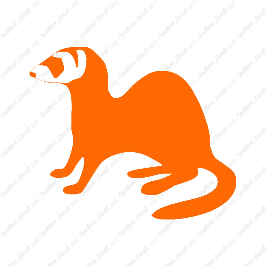 Ferret Weasel