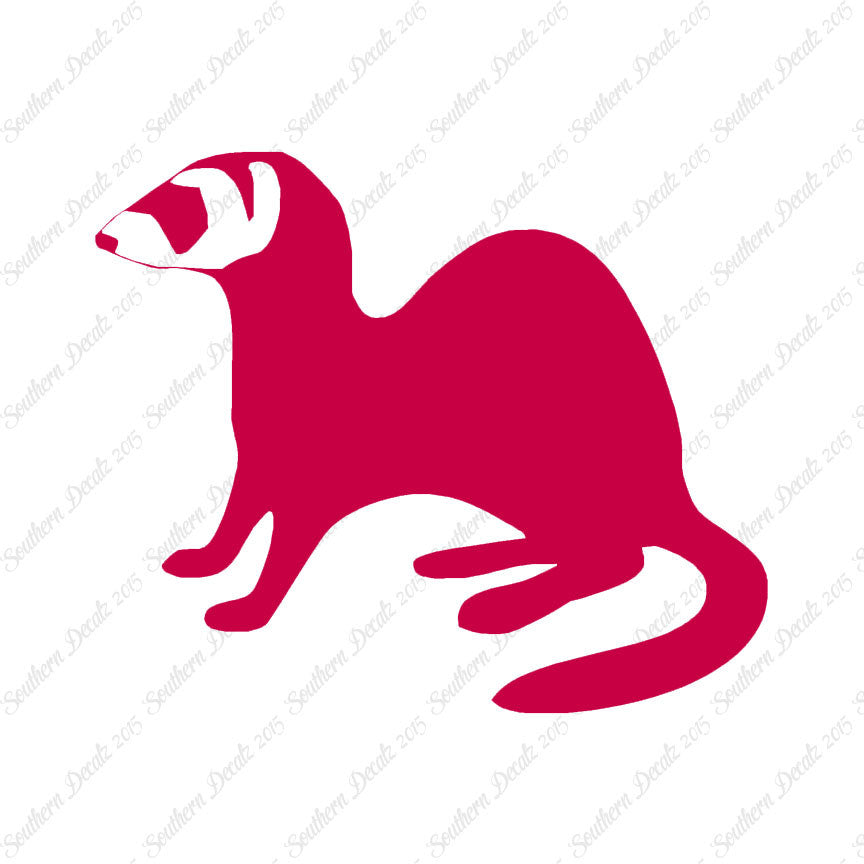 Ferret Weasel