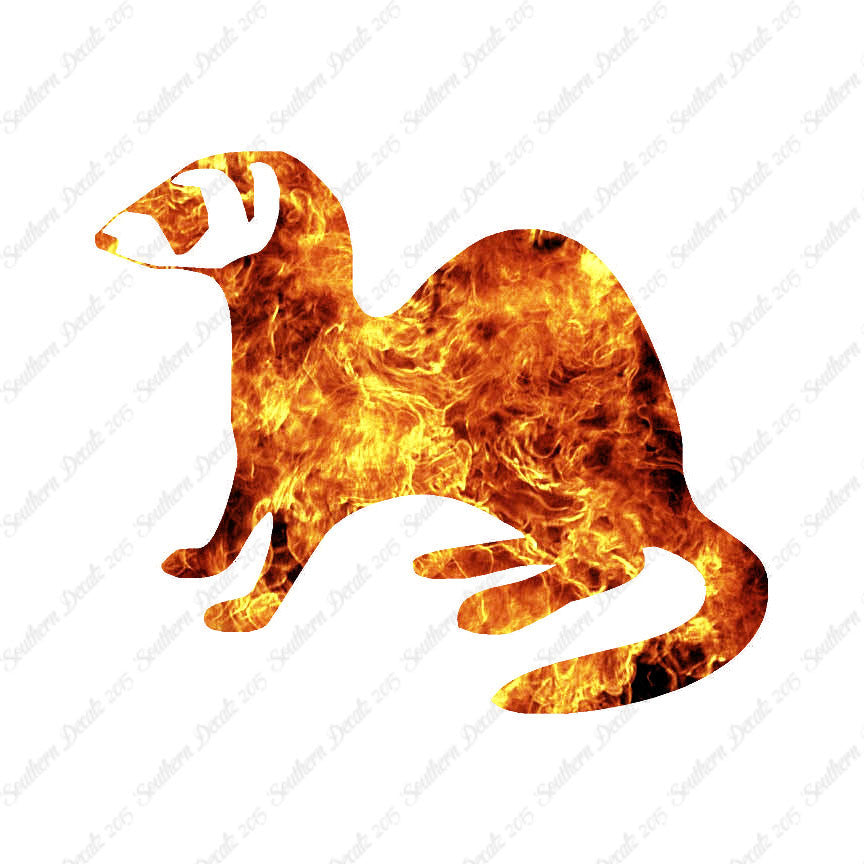 Ferret Weasel