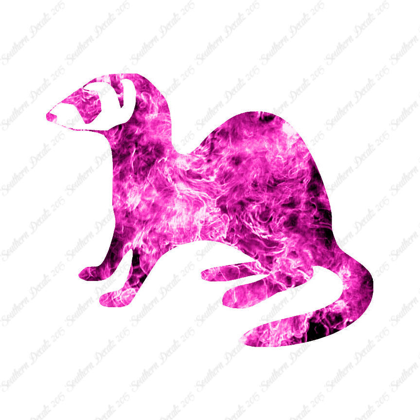 Ferret Weasel
