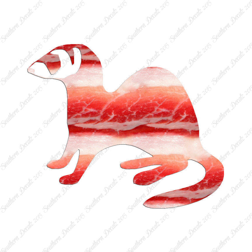 Ferret Weasel