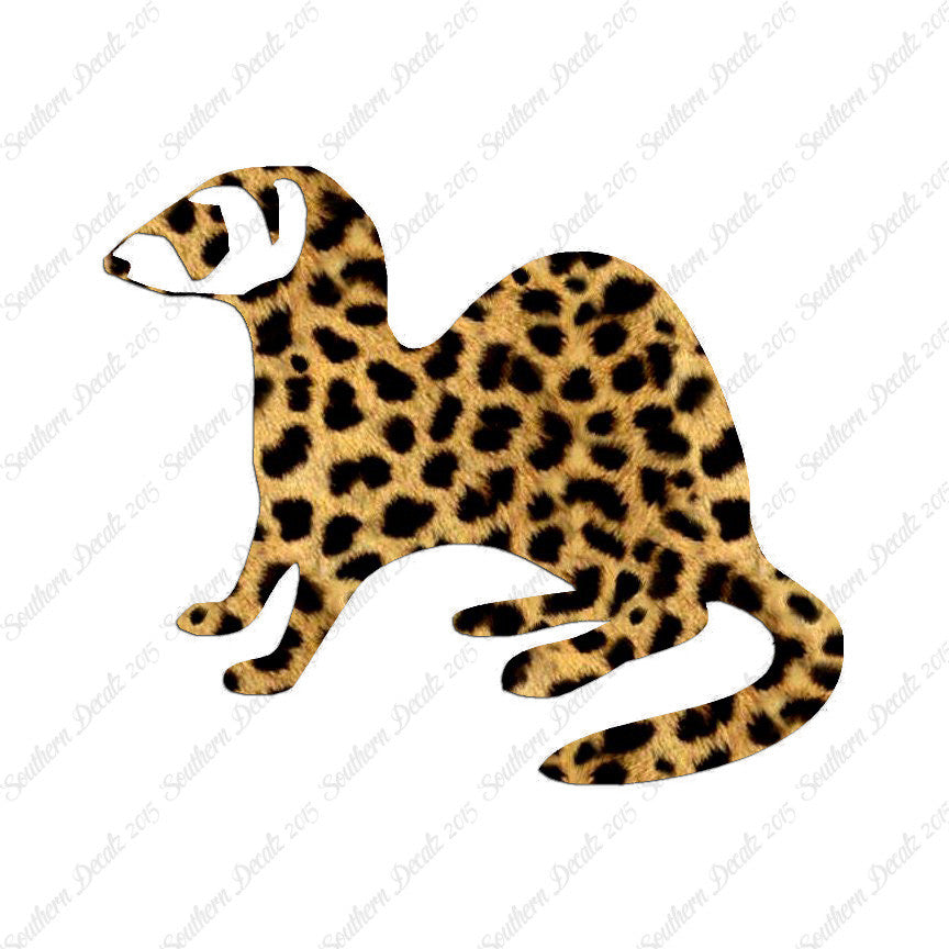 Ferret Weasel