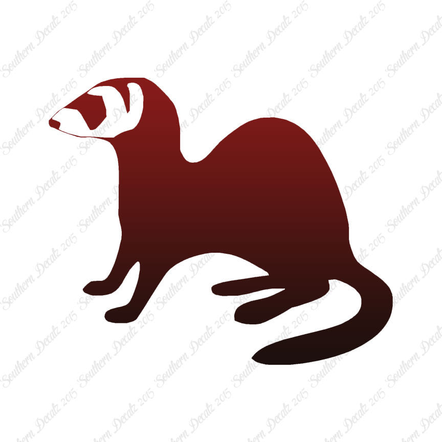 Ferret Weasel