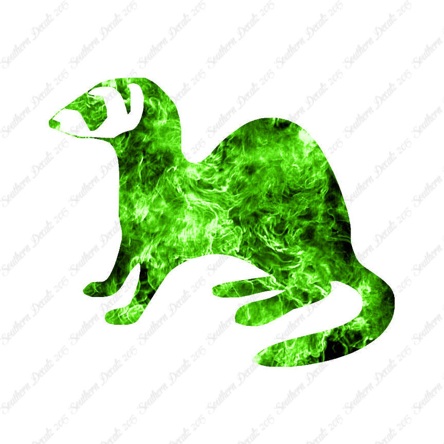 Ferret Weasel