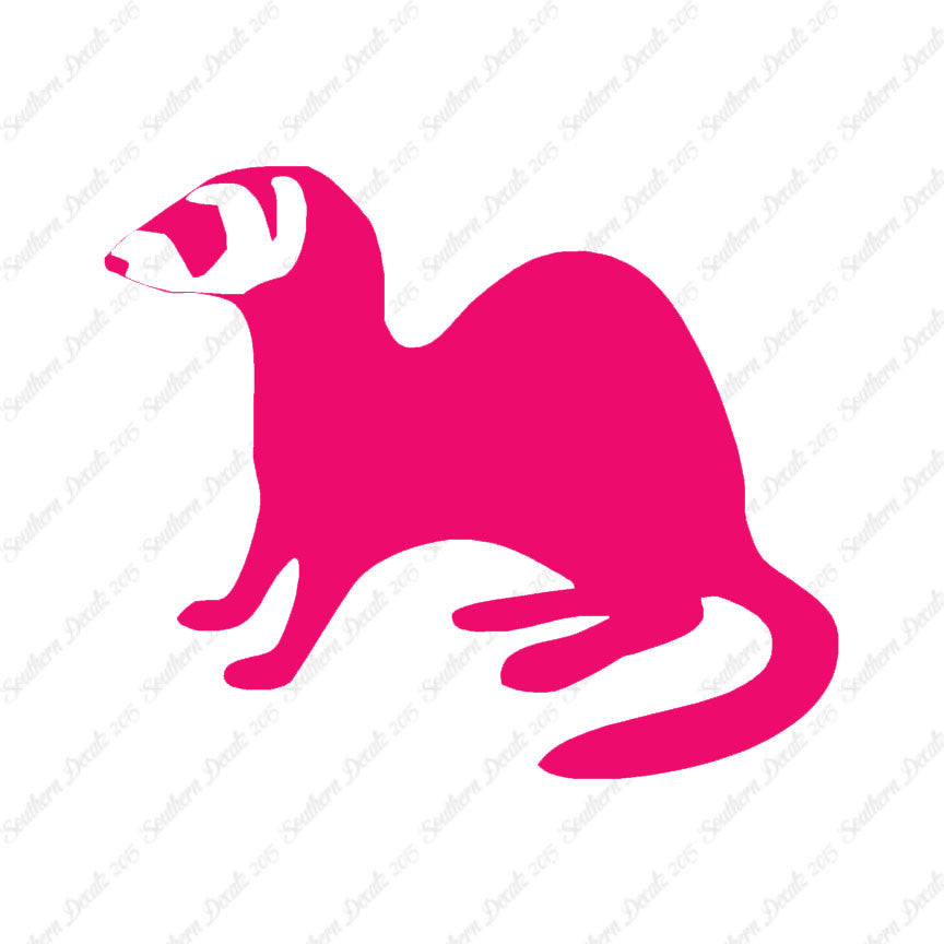 Ferret Weasel