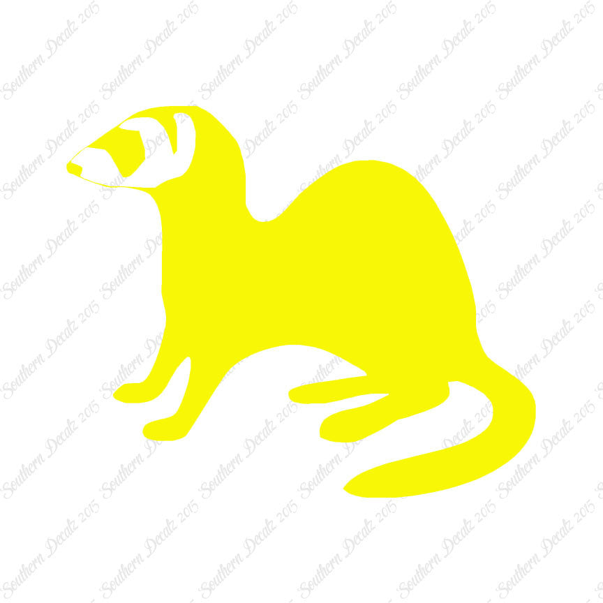 Ferret Weasel