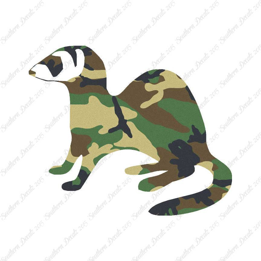 Ferret Weasel