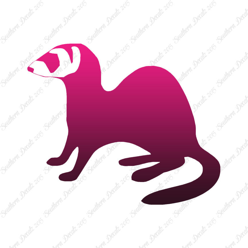 Ferret Weasel
